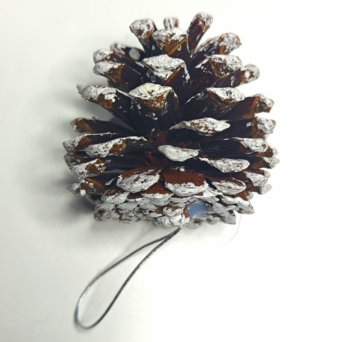Hanging pine cone - pine,