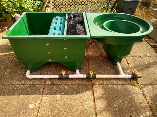 Kockney koi 8000v - kockney,