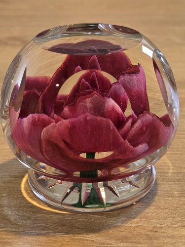 Selkirk glass paperweight - selkirk,