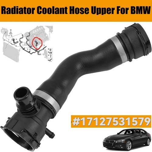 Radiator coolant hose upper - hose,