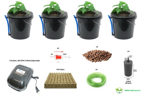 Deep water culture - culture, dwc