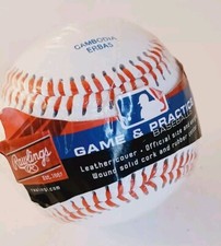 Rawlings Official League