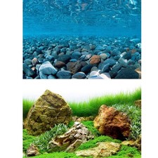 Marina River Rock / Sea of