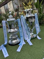 Football FA Cup Trophy  Full Size With all Winning Team Engraved Very Detail Cup