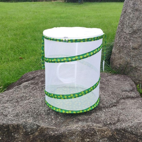 Professional butterfly habitat - butterfly,