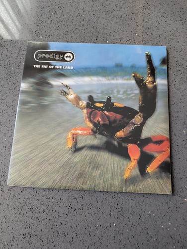 The prodigy fat - the,
