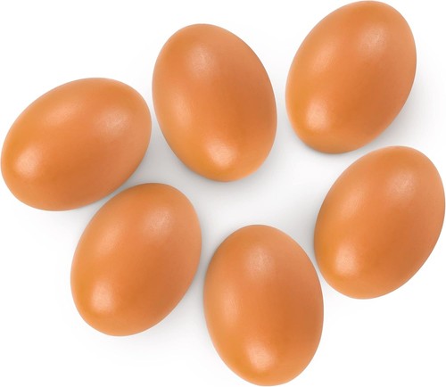 Fake nest eggs - eggs, brown