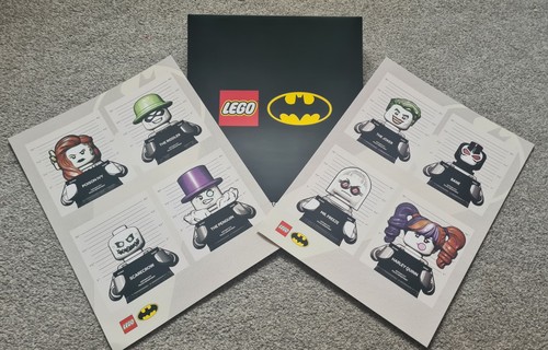 Lego batman arkham asylum - batman,