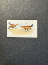 Fighting Cocks Cigarette Card (no 14)  Game Fowl