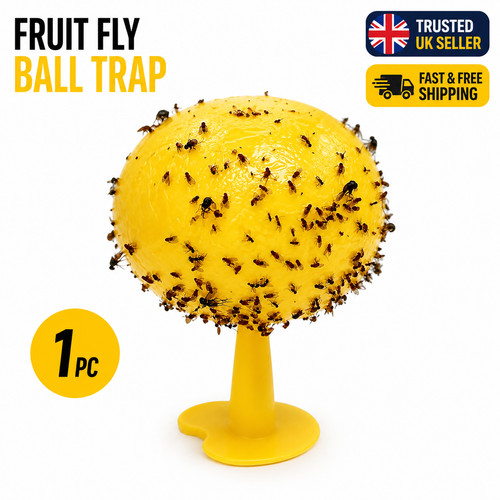Fruit fly balls ball - fruit,
