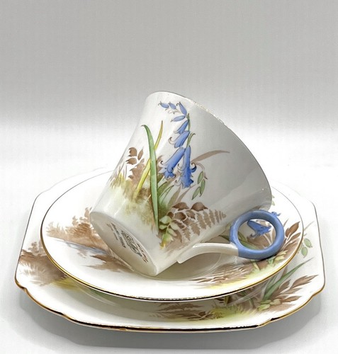 Shelley bone china trio - china,