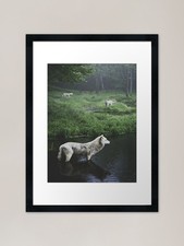 Lake Wolves Framed Art Print