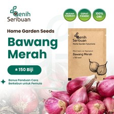 Shallot Seeds For Kitchen