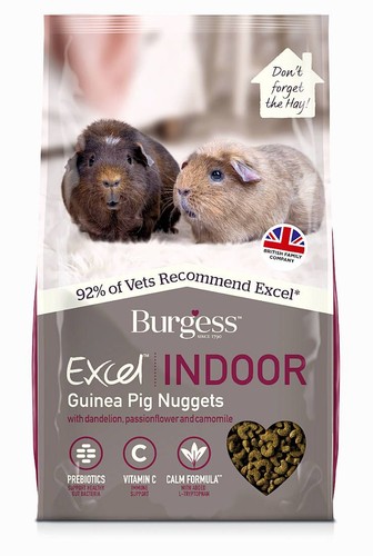 Burgess excel indoor - burgess, guinea