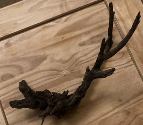 Driftwood aquarium fish - , tank