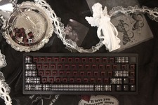 Rena Labs Teresa Linear