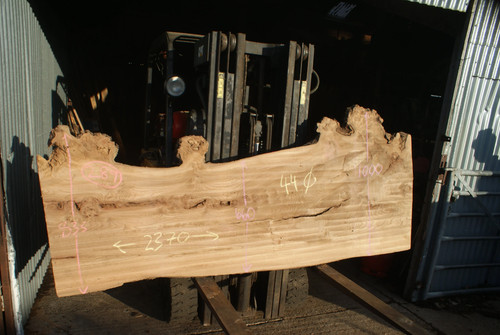 Burr elm slab kiln dried - kiln,