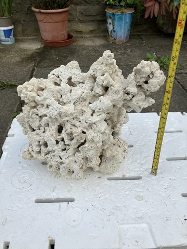 Tr4 dry fiji live rock - dry, 2.9kg