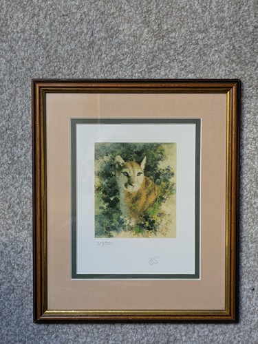 David shepherd cameo ltd - ,
