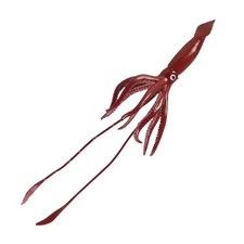 Giant Squid Sea Life Safari