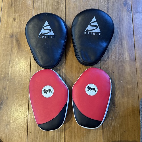 Pairs boxing focus pads - boxing,