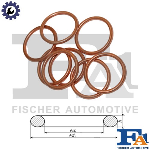 10x seal ring oil - oil, plug