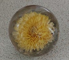 Hafod Grange 1997 Floral Paperweight