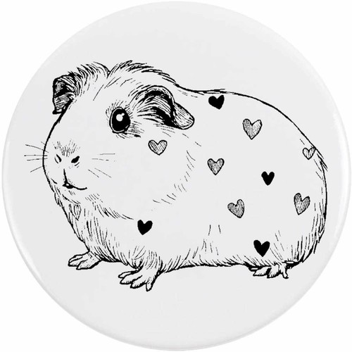 Cute guinea pig side view - guinea,