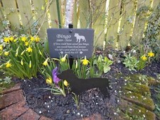 Memorial Pet Sign, In memory of Plaque. Remembrance of Dog, Cat, Rabbit or Other