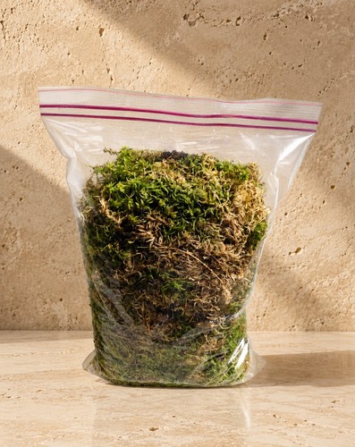 Quality irish sphagnum moss - quality,