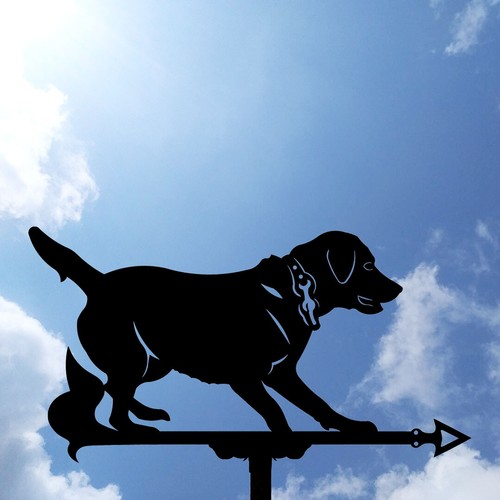 Labrador dog metal - labrador,