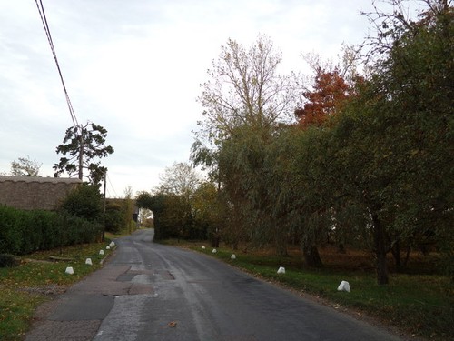 Photo 12x8 great tey road - photo,