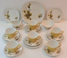 A Mid Century 21 Piece