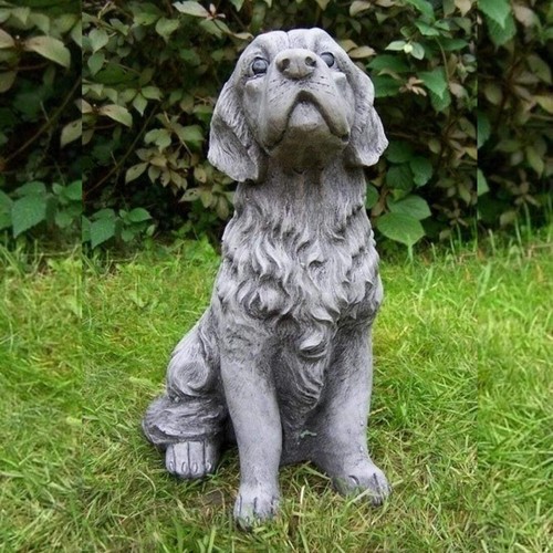 Small golden retriever type - golden,