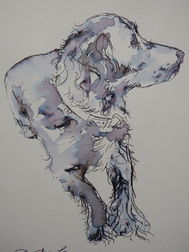 Ink drawing dog - lying, on