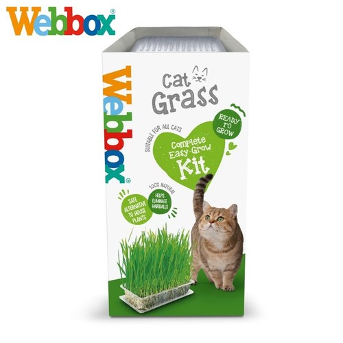 Webbox cat grass easy - grass,