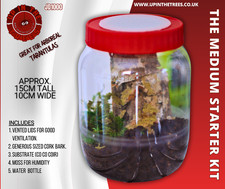 enclosure spiderling tarantula