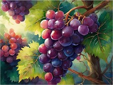 Tile Mural Bunch of Grapes Still Life Kitchen Bathroom Shower Wall Backsplash