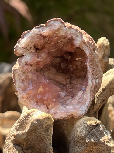 Pink amethyst geode rose - amethyst, rare