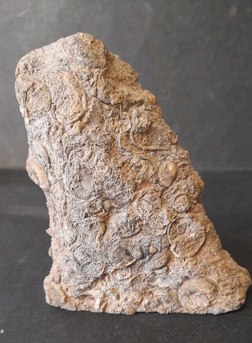 Natural yunnan devonian - natural,