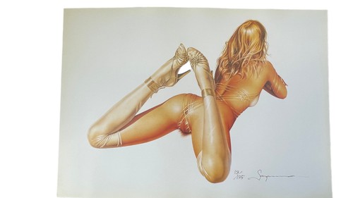 Hajime sorayama erotic - hajime,