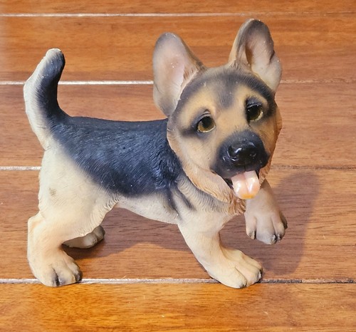 German shepherd alsatian - shepherd, puppy