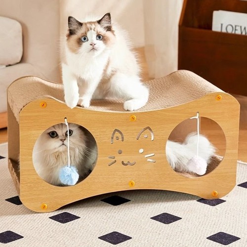 Cardboard cat house - cardboard,
