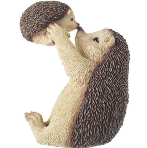 Hedgehog mother and baby - hedgehog,