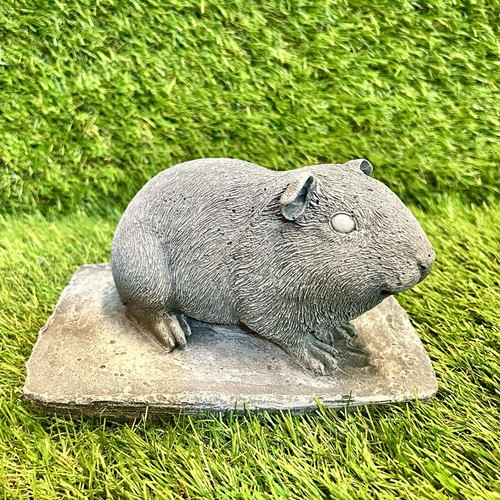 Concrete guinea pig stand - concrete, on