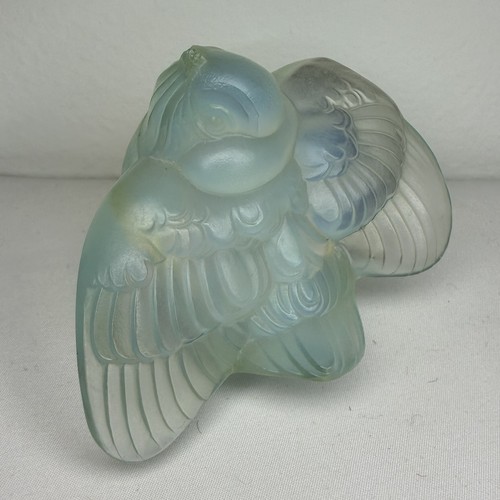 Sabino france dove bird - sabino,