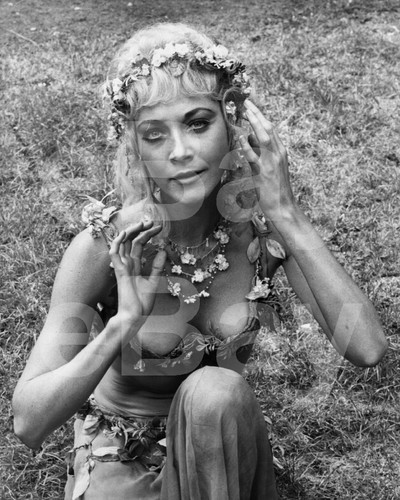 Midsummer nights dream - a,