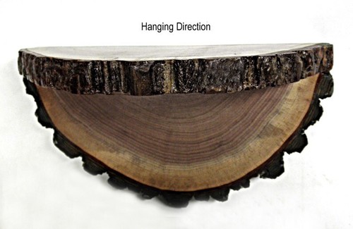 Unique tree trunk - slice, wall