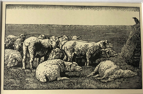 Vintage wood engraving - , print