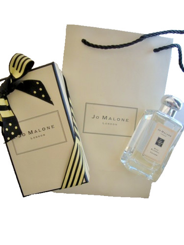 Malone wild bluebell - jo,